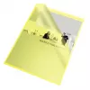 Esselte Folder 105my A4 Box of 100