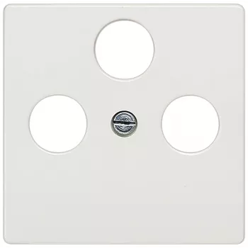 Siemens 5TG2548-2 Wandplatte/Schalterabdeckung