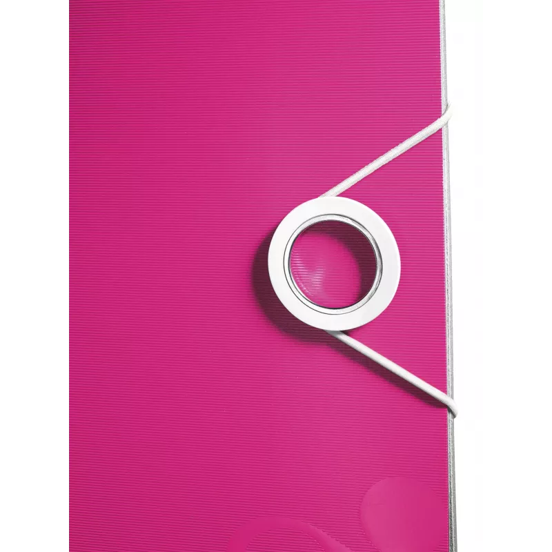 Leitz Lever Arch File Active PP WOW A4/80mm, A4, Polyfoam, Rose, 500 Blatt, 80 g/m², 8,2 cm