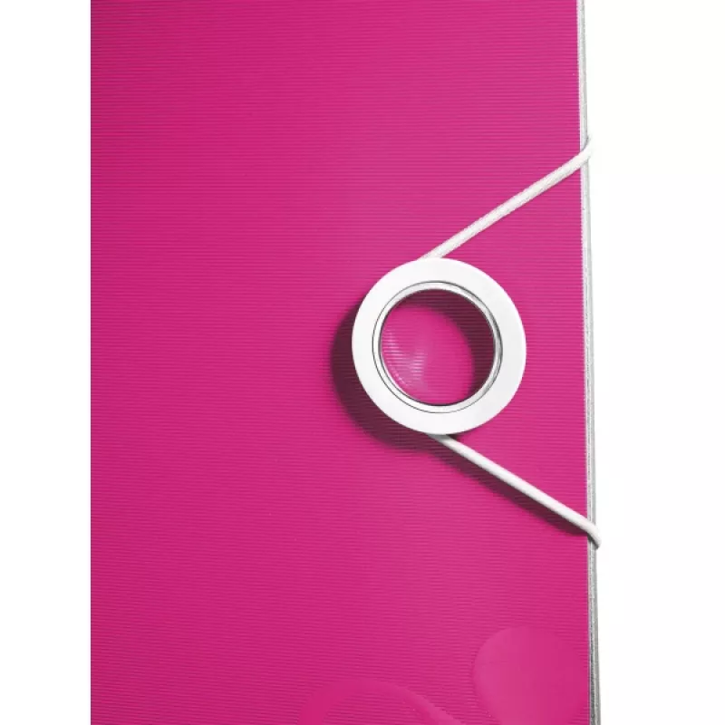 Leitz Ordner Active PP WOW A4/65mm, A4, Polyfoam, Rose, 350 Blatt, 80 g/m², 6,5 cm