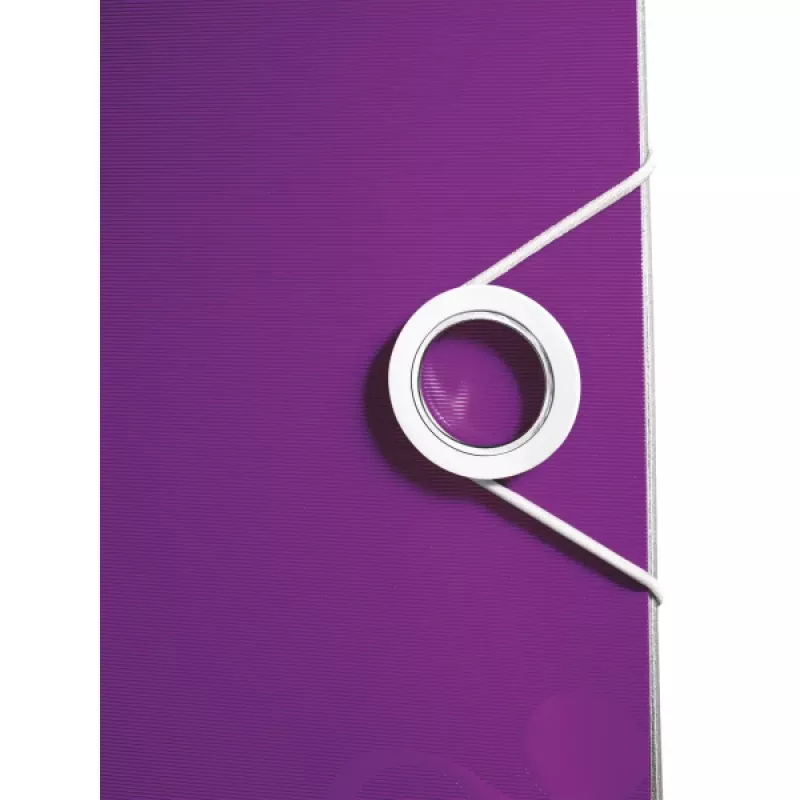 Leitz Hebelordner Active PP WOW A4/65mm, A4, Polyfoam, Lila, 350 Blatt, 80 g/m², 6,5 cm
