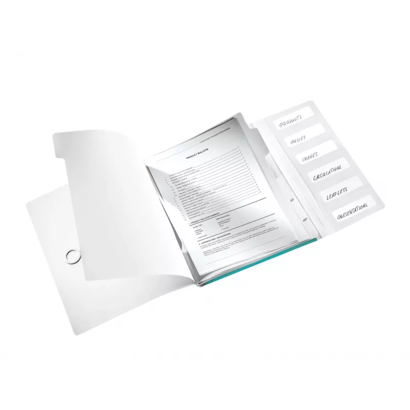 Leitz WOW PP Registerbuch, 6-teilig, A4, Polypropylen (PP), Blau, Metallic, 200 Blatt, 260 mm, 17 mm
