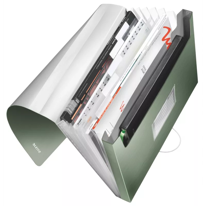 Leitz Erweiterbare Konzertina-Aktenmappe aus PP, A4, Polypropylen (PP), Grün, 250 Blatt, 80 g/m², 6 Fächer