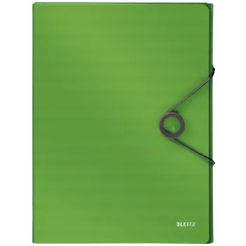 Leitz Box File Solid PP 30 mm, Klappmappe, A4, Polypropylen (PP), Grün, 250 Blatt, 80 g/m²