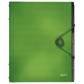 Leitz Registerbuch Solid 6 Tabs, Klappmappe, A4, Polypropylen (PP), Grün, 200 Blatt, 80 g/m²