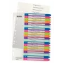 Esselte 1245-00-00 Numerisches Register aus Polypropylen (PP) Mehrfarbig