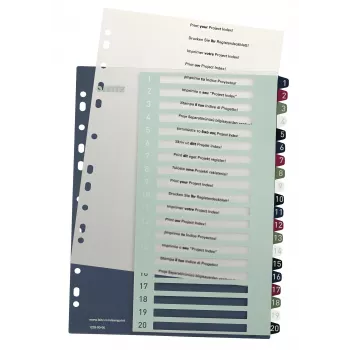 Leitz Index PC Printable 1-20 Style PP A4+, Numerisches Tab-Register, Polypropylen (PP), Mehrfarbig, Hochformat, A4 Maxi, 245 mm