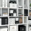 Leitz Aufbewahrungsbox Click & Store WOW Cube Medium, Fuchsia, Karton, 260 mm, 260 mm, 240 mm