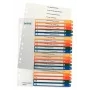 Leitz 12960000 Tab-Index numerischer Tab-Index Polypropylen (PP) Mehrfarbig