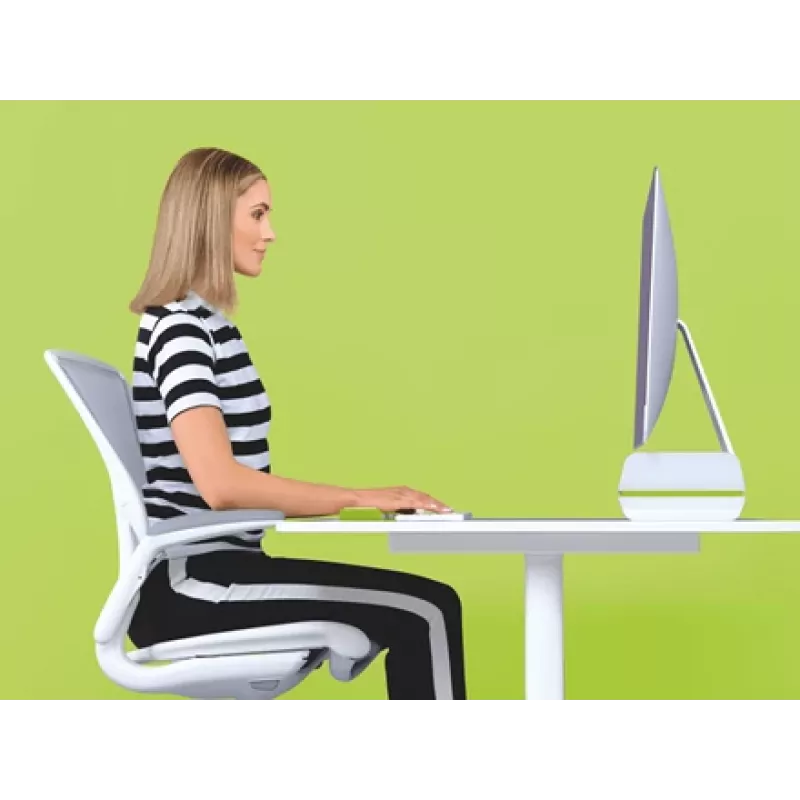Leitz Monitorständer verstellbar Ergo WOW, 68,6 cm (27 Zoll), Höhenverstellung, Grün, Weiß