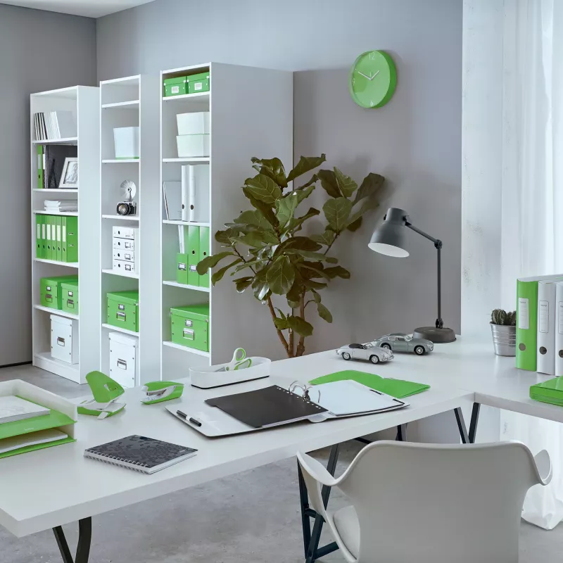 Leitz Ringbinder WOW Laminierter A4+ 2DR/25mm, A4+, D-Ring, Karton, Grün, 250 Blatt, 80 g/m²