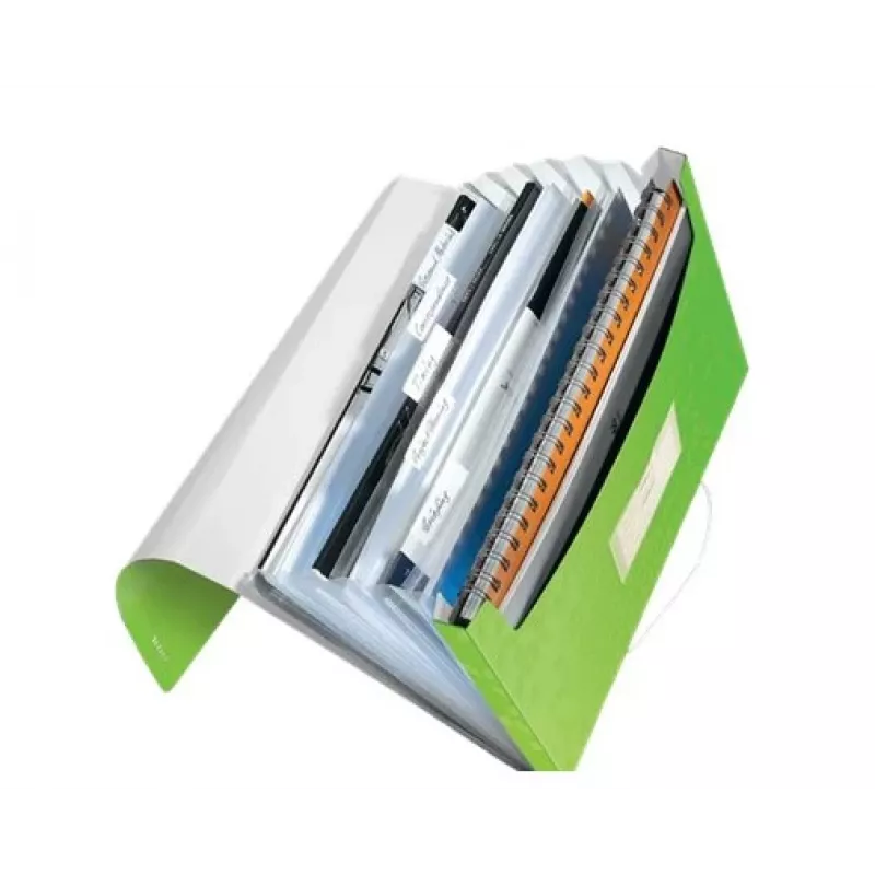 Leitz Projektmappe WOW PP, A4, Polypropylen (PP), Grün, Hochformat, 250 Blatt, 80 g/m²