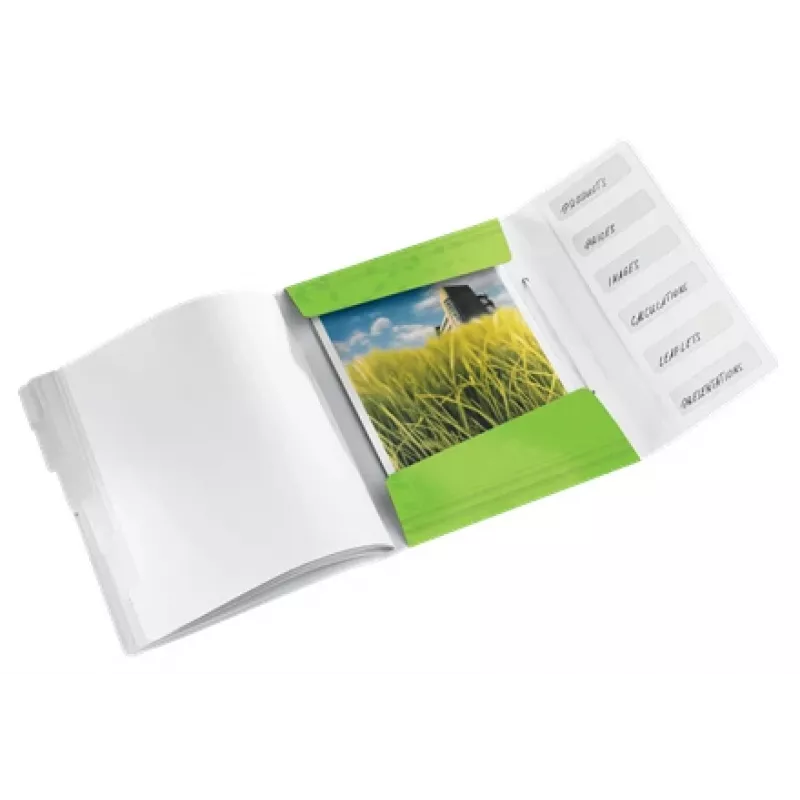 Leitz Divider Book WOW PP 6 Tabs, herkömmlicher Aktenordner, A4, Polypropylen (PP), Grün, glänzend, 200 Blatt