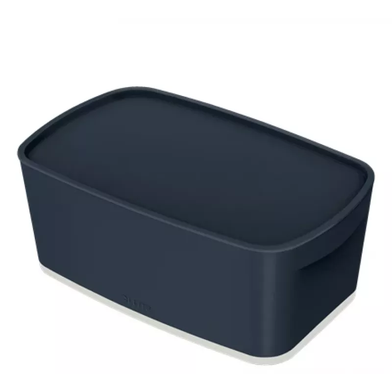 Leitz MyBox Cosy Small mit Deckel, Aufbewahrungsbox, Aufbewahrungsbox, Grau, Rechteckig, Kunststoff, Einfarbig, Innenbereich