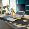 Leitz Cosy kabellose Maus, beidhändig, RF Wireless + Bluetooth, 4000 DPI, Grau