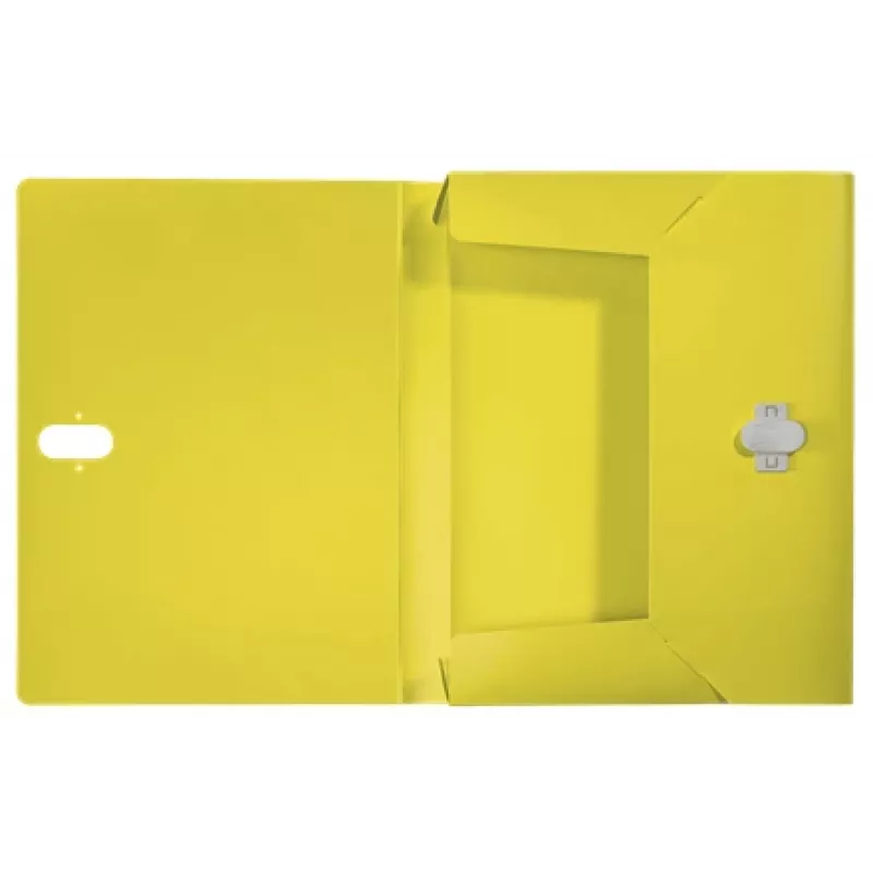 Leitz Recycle Box File, Konventioneller Aktenordner, A4, Polypropylen (PP), Gelb, Quer-/Hochformat, 250 Blatt