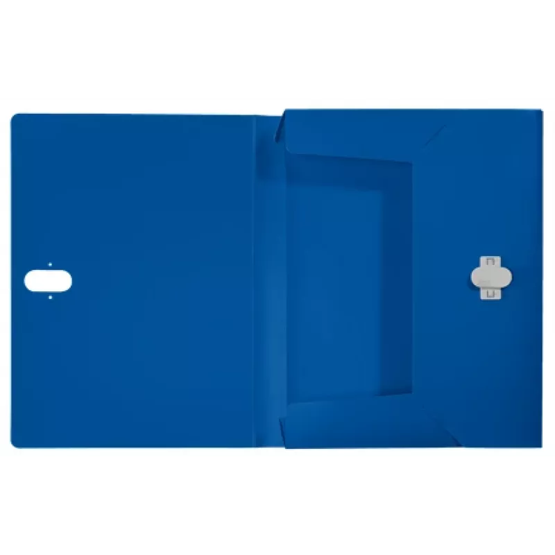 Leitz Recycle Box File, herkömmlicher Aktenordner, A4, Polypropylen (PP), Blau, Querformat/Hochformat, 250 Blatt
