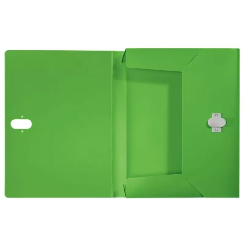 Leitz Recycle Box File, herkömmlicher Aktenordner, A4, Polypropylen (PP), Grün, Querformat/Hochformat, 250 Blatt