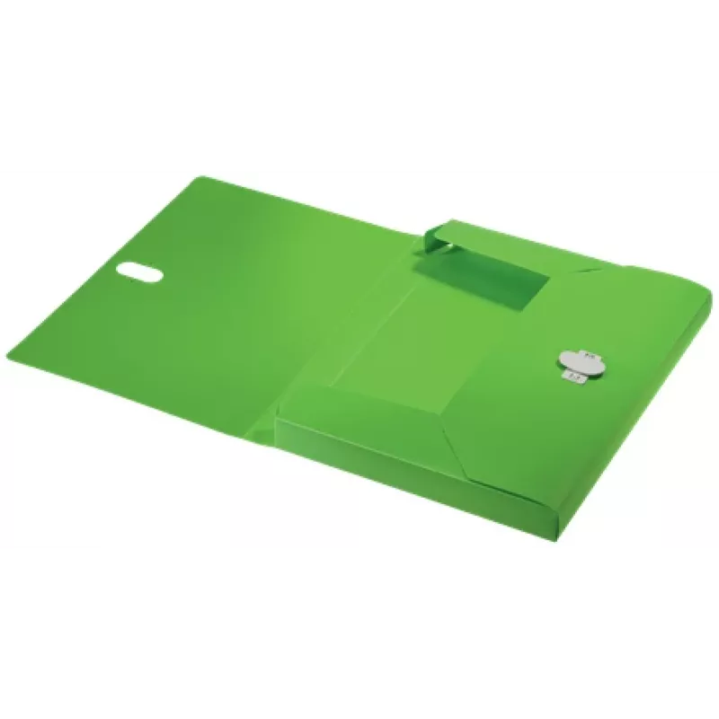 Leitz Recycle Box File, herkömmlicher Aktenordner, A4, Polypropylen (PP), Grün, Querformat/Hochformat, 250 Blatt