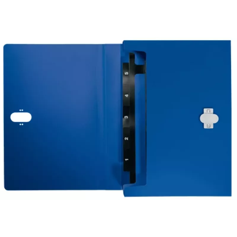 Leitz Recycle Erweiterbare Konzertina-Mappe, herkömmlicher Aktenordner, A4, Polypropylen (PP), Blau, Querformat, 250 Blatt