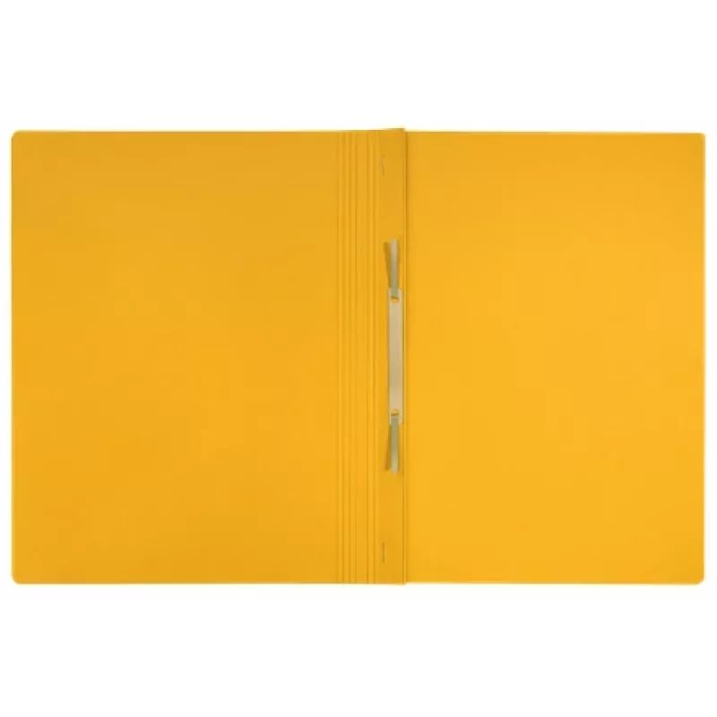 Leitz Recycle Karton-Flachmappe, herkömmlicher Aktenordner, A4, Karton, Gelb, Quer-/Hochformat, 250 Blatt