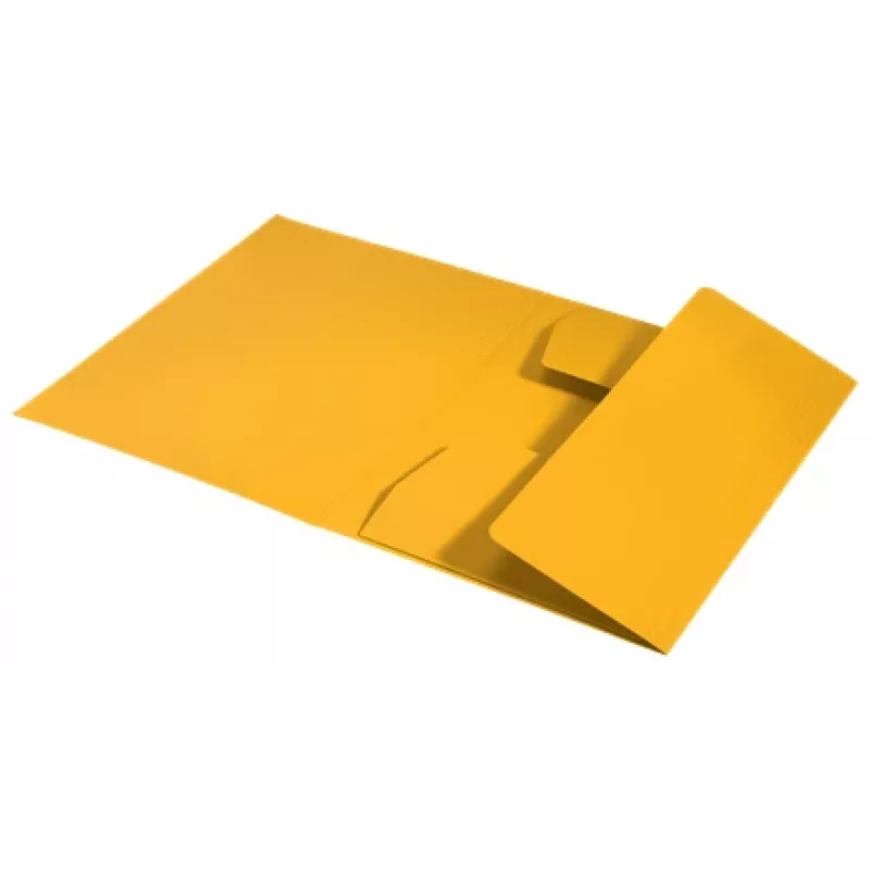 Leitz Recycle Karton-3-Klappmappe, herkömmliche Aktenmappe, A4, Karton, Gelb, Quer-/Hochformat, 250 Blatt