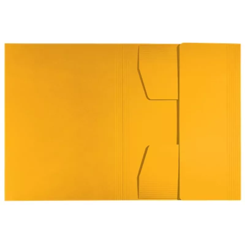 Leitz Recycle Karton-3-Klappmappe, herkömmliche Aktenmappe, A4, Karton, Gelb, Quer-/Hochformat, 250 Blatt