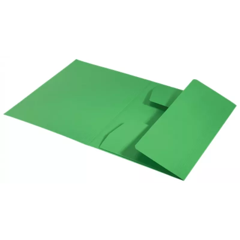 Leitz Recycle Karton-3-Klappen-Mappe, herkömmliche Aktenmappe, A4, Karton, Grün, Quer-/Hochformat, 250 Blatt