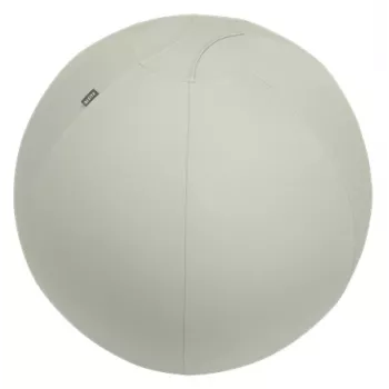 Leitz Ergo Aktiver Sitzball mit Stoppfunktion 65 cm, Grau, Full-size, 150 kg, Erwachsene, Adult, TÜV