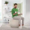 Leitz Ergo Aktiver Sitzball mit Stoppfunktion 65 cm, Grau, Full-size, 150 kg, Erwachsene, Adult, TÜV