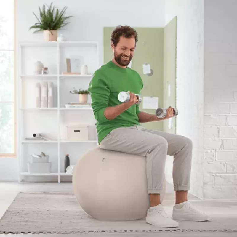 Leitz Ergo Aktiver Sitzball mit Stoppfunktion 65 cm, Grau, Full-size, 150 kg, Erwachsene, Adult, TÜV