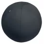 Leitz Ergo Active Sitzball mit Stoppfunktion 65 cm, Grau, Full-size, 150 kg, TÜV, 65 cm, 2,87 kg