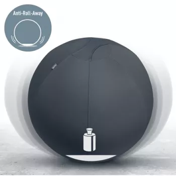 Leitz Ergo Active Sitzball mit Stoppfunktion 65 cm, Grau, Full-size, 150 kg, TÜV, 65 cm, 2,87 kg