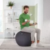 Leitz Ergo Active Sitzball mit Stoppfunktion 65 cm, Grau, Full-size, 150 kg, TÜV, 65 cm, 2,87 kg