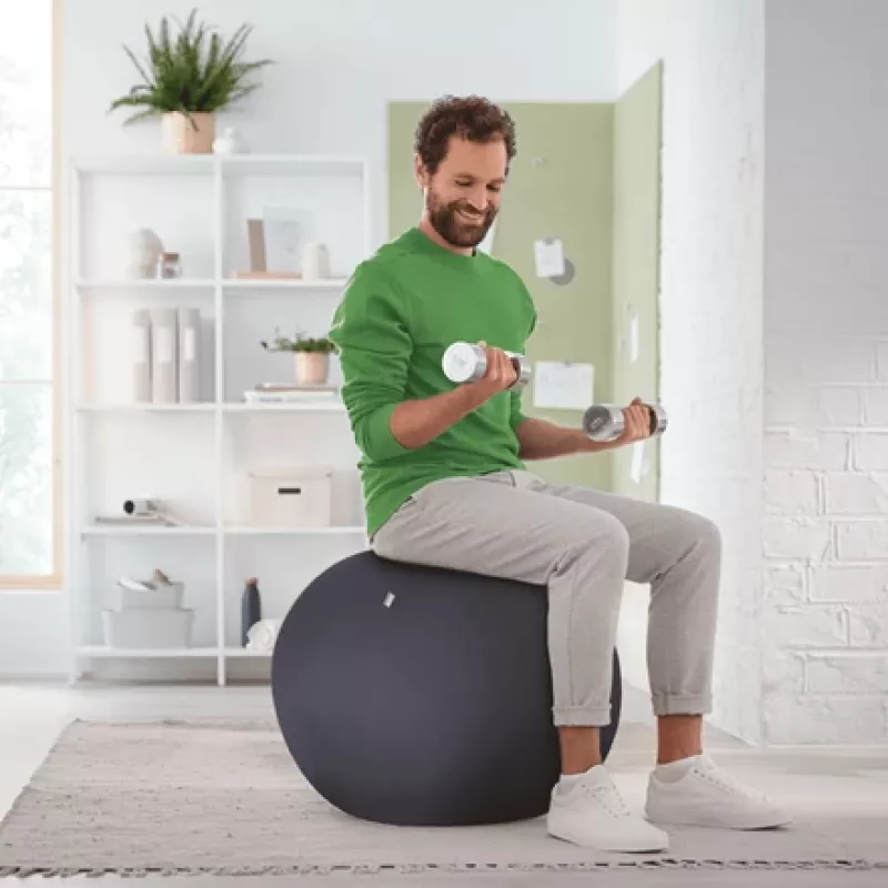 Leitz Ergo Active Sitzball mit Stoppfunktion 65 cm, Grau, Full-size, 150 kg, TÜV, 65 cm, 2,87 kg