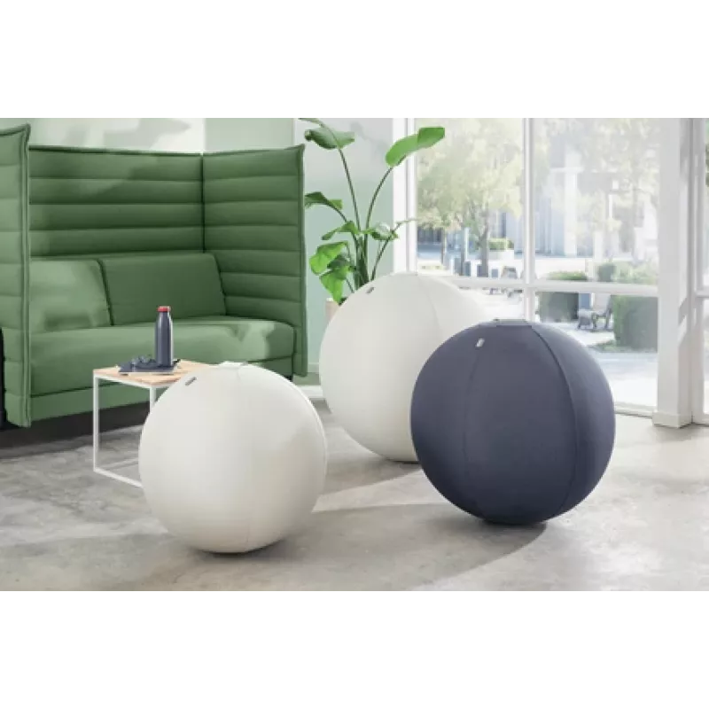 Leitz Ergo Active Sitzball mit Stoppfunktion 65 cm, Grau, Full-size, 150 kg, TÜV, 65 cm, 2,87 kg