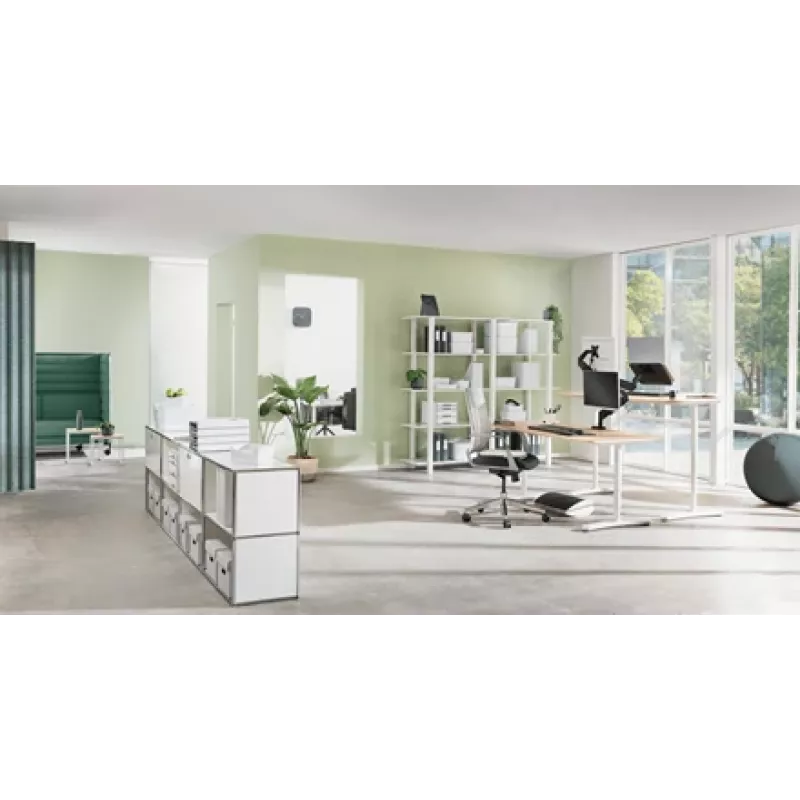 Leitz Ergo Active Sitzball mit Stoppfunktion 65 cm, Grau, Full-size, 150 kg, TÜV, 65 cm, 2,87 kg