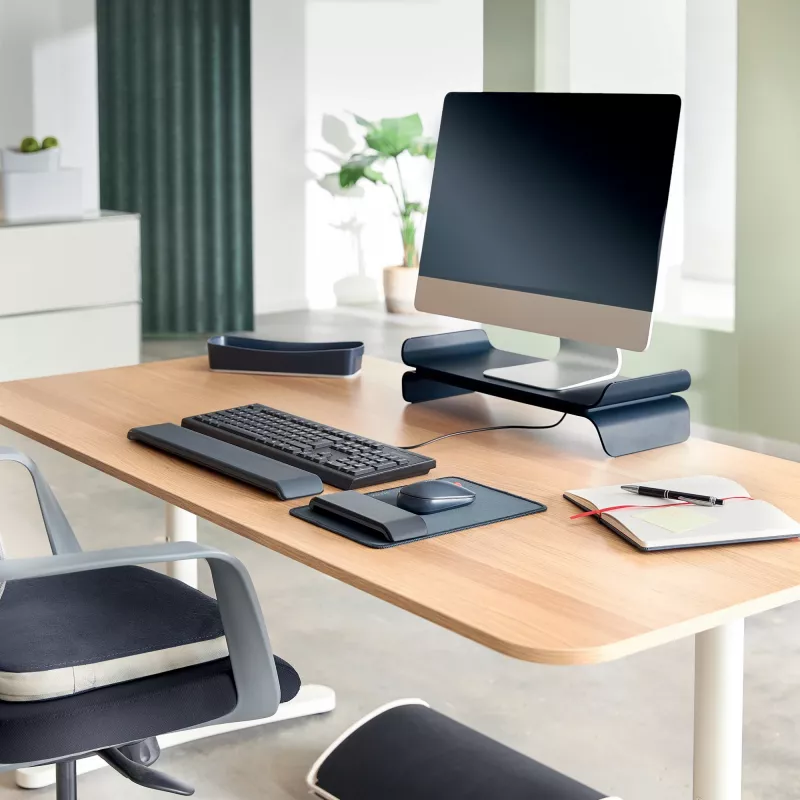 Leitz Ergo Einstellbare Tastatur-Handgelenkauflage, Dunkelgrau, 71 mm, 437 mm, 22 mm, 1 Stück
