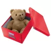 Leitz Box Click & Store WOW Cube Large Aufbewahrungsbox, Aufbewahrungsbox, Rot, Rechteckig, Karton, Monochromatisch, Innenbereich