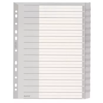Leitz 12760000 Blanko-Tab-Index aus Kunststoff, Grau