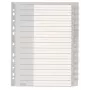 Leitz 12760000 Blanko-Tab-Index aus Kunststoff, Grau