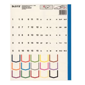 Leitz 12760000 Blanko-Tab-Index aus Kunststoff, Grau