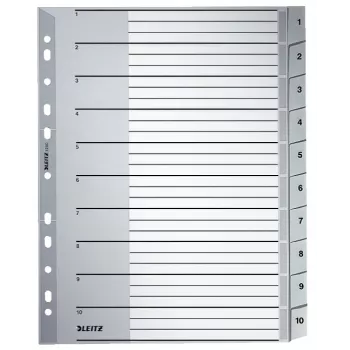 Leitz 12800000 Tab-Register Numerisches Tab-Register Karton Grau