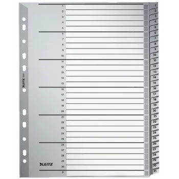 Leitz 12810000 Tab-Index Numerischer Tab-Index Karton Grau