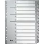 Leitz 12810000 Tab-Index Numerischer Tab-Index Karton Grau