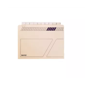 Leitz 24440011 Tab-Register Blanko-Tab-Register Karton