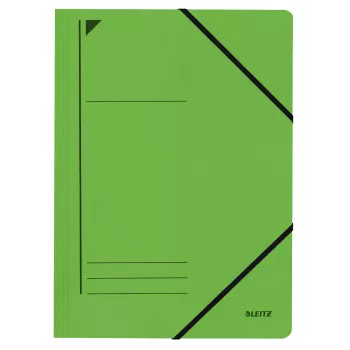 Leitz 39800055 Ordner aus Karton Grün A4