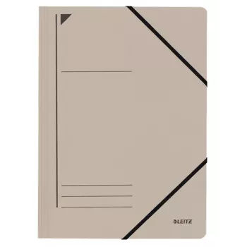Leitz 39800085 Ordner Karton Grau A4