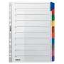 Leitz 43210000 Tab-Register Blanko-Tab-Register Karton Mehrfarbig