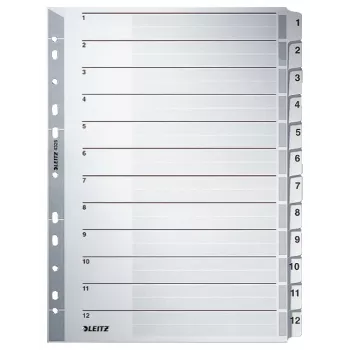 Leitz 43250000 Tab-Register Numerisches Tab-Register Karton Grau